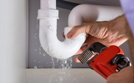 DIY Professional Plumbing Repair: ?